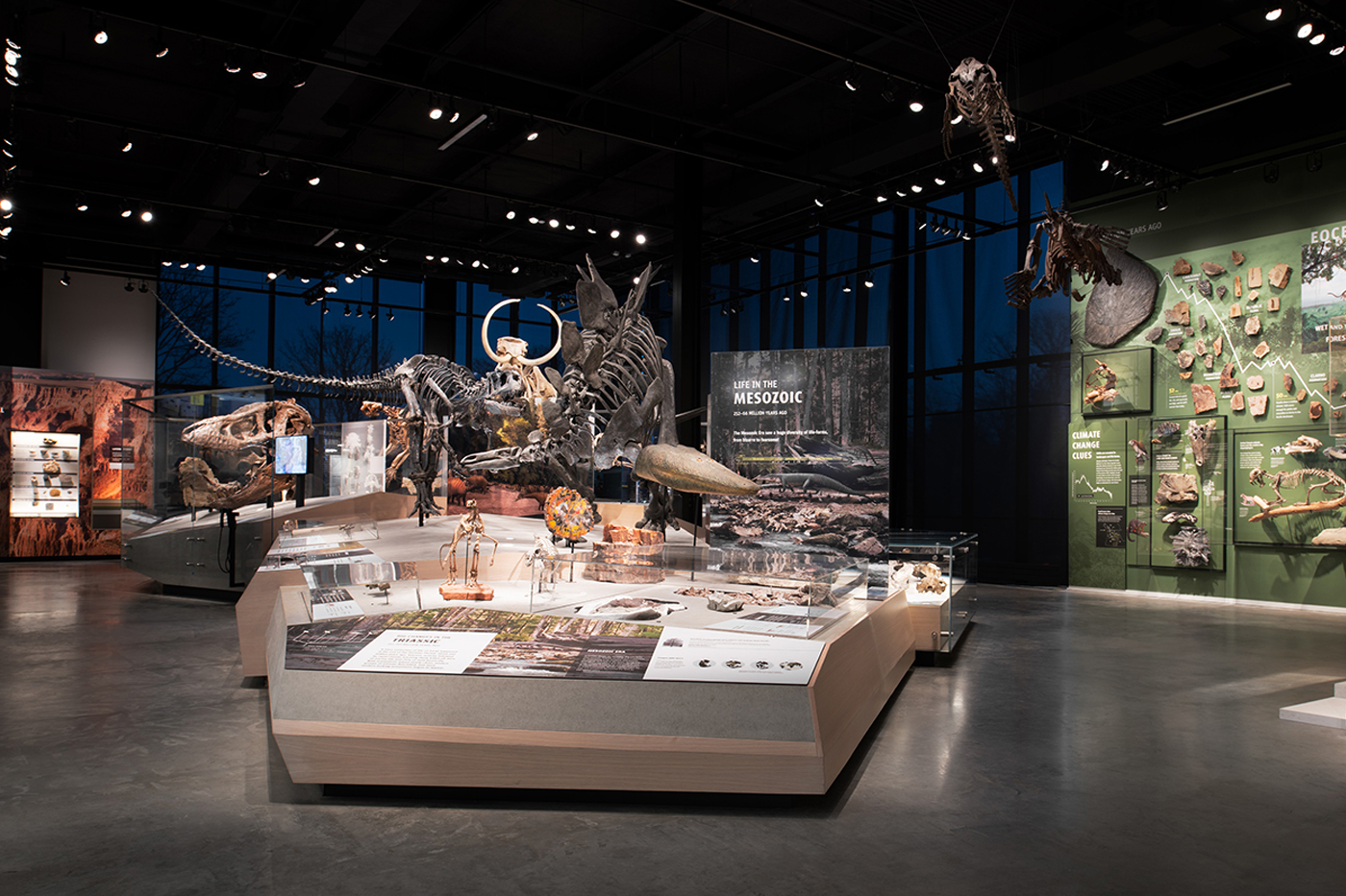 Evidence Design Award winning Studio